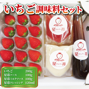 いちご 400g ソース セット 苺 果物 くだもの フルーツ フルーツソース おやつ ヨーグルト アイス ストロベリー strawberry 岩手県 大船渡市