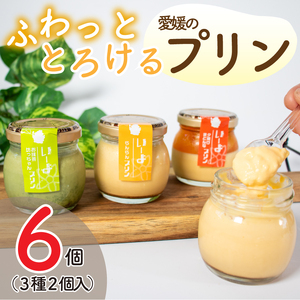 愛媛のプリンセット 6本入 プリン お菓子 抹茶 みかん デザート 愛媛県 松山市[IP001_x]