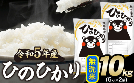 令和5年産 ひのひかり 無洗米 10kg 《30日以内に出荷予定(土日祝除く)》  5kg×2袋 熊本県産 米 精米 ひの 熊本県 南阿蘇村 st-p