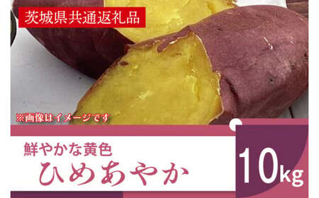 【先行予約】【11月より順次発送】2026年産 鮮やかな黄色のさつまいも ひめあやか10kg（茨城県共通返礼品・行方市産）【サツマイモ　芋　おいしい　甘い 大量 しっとり 焼き芋　てんぷら スイートポテト】(AK108)