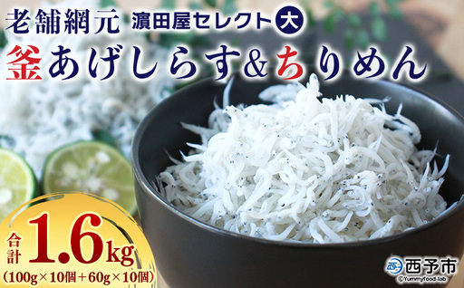 老舗網元 濵田屋セレクト釜あげしらす・ちりめんセット（大） AMS0017