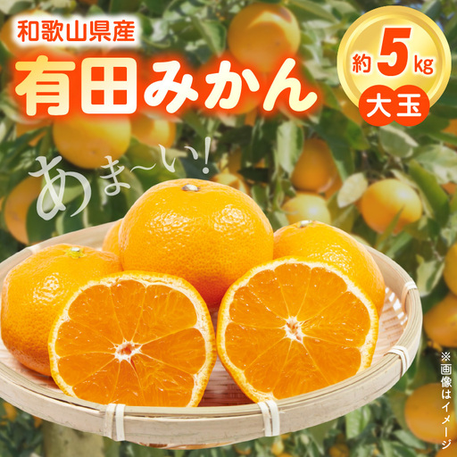 [2026年先行予約](大玉)和歌山県産 有田みかん 5kg ひとつひとつ手選別で厳選!生産者から直送_ZN6011n
