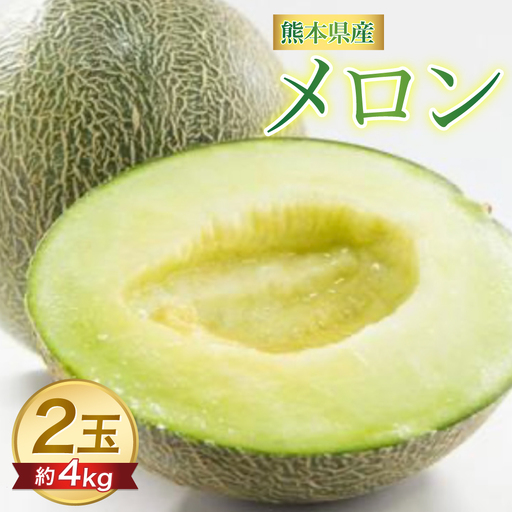 メロン [先行予約]熊本県 八代市産 肥後グリーン 約4kg (2玉入) [2027年5月中旬より順次発送] メロン