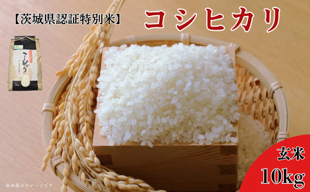 【茨城県認証特別米】　コシヒカリ　10kg（玄米）