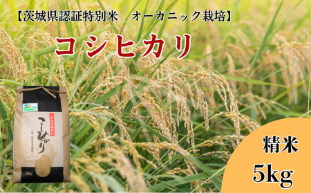 コシヒカリ　精米5kg【茨城県認証米／オーガニック栽培】