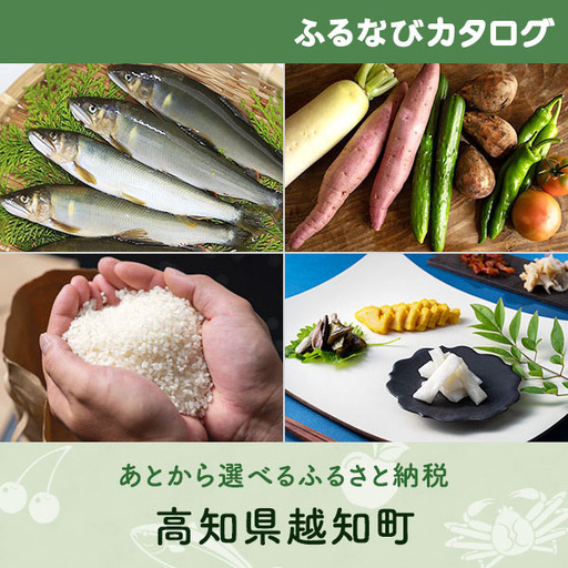 【有効期限なし！後からゆっくり特産品を選べる】高知県越知町カタログポイント