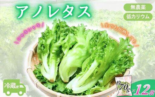 レタス アノレタス(リーフレタス)新鮮シャキシャキ 栽培期間中無農薬低カリウムレタス 12袋セット レタス [kkry0001]