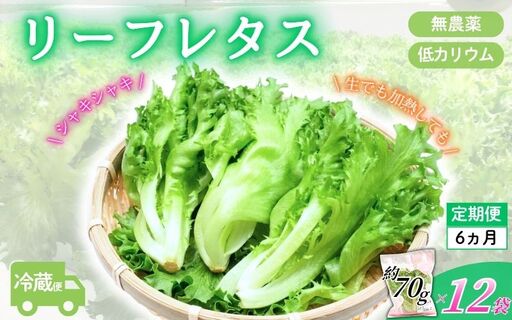 レタス アノレタス（リーフレタス）新鮮シャキシャキ 栽培期間中無農薬低カリウムレタス 12袋×6ヶ月連続お届けセット レタス 【kkry-tkb0002】