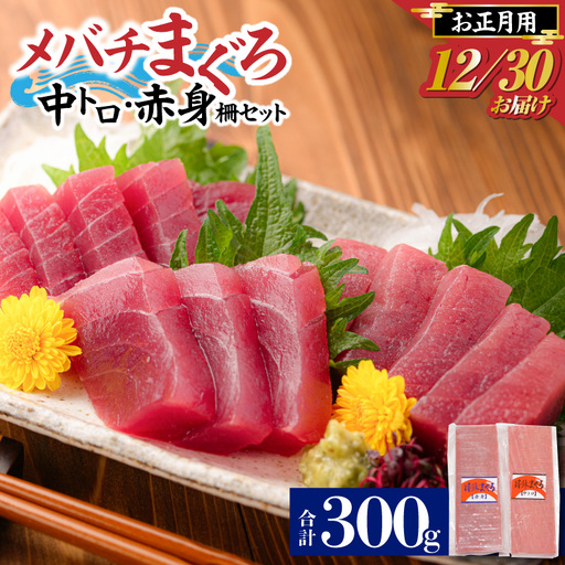 お正月 用 メバチ鮪 柵 セット（ 神奈川県漁連 ） M077-006-02 冷凍 マグロ