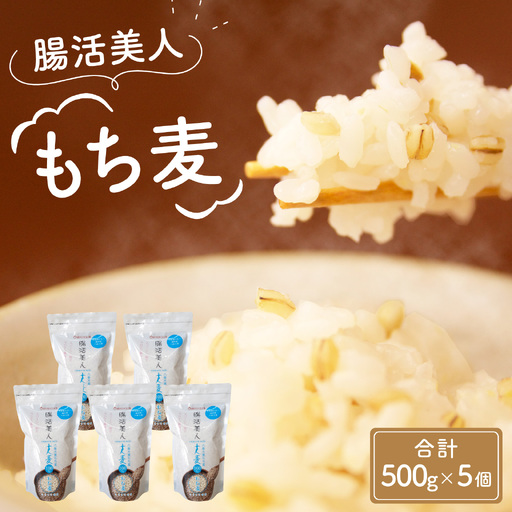 腸活美人 福井産六条大麦もち麦 5個セット [A-034003] 
