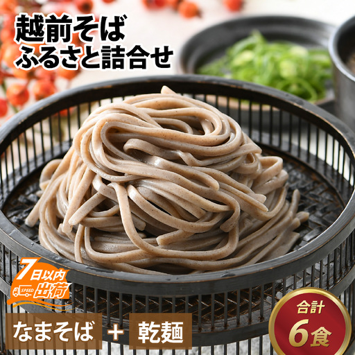 越前そばふるさと詰合せ 合計6食 [A-120001] / そば