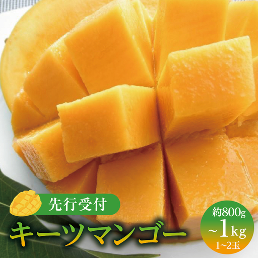 (先行受付)[2027年発送]キーツマンゴー 南城市 約800g〜1kg(1〜2玉)