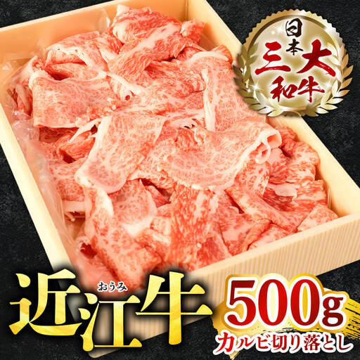 近江牛 カルビ 切り落とし 500g 株式会社びわこフード 滋賀県 東近江市 A-F08 近江牛 焼肉 すき焼き 牛丼 肉じゃが 500g A4 A5 霜降り 和牛 高級 国産 ブランド牛