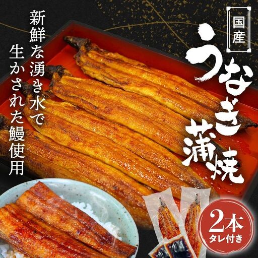 うなぎ 蒲焼 ２本 国産 【ots016】