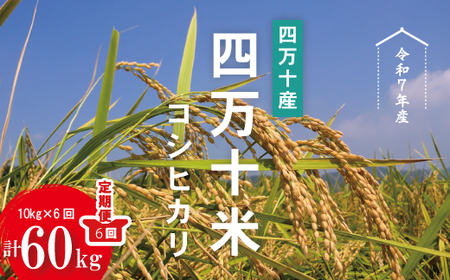 令和7年産 6回 定期便 四万十産 四万十米 コシヒカリ 10kg (5kg×2袋)×6回(計60kg)こしひかり 60kg 令和7年 2025年 精米 白米 米 おこめ こめ コメ ご飯 ごはん ふっくら 四国 高知 しまんと
