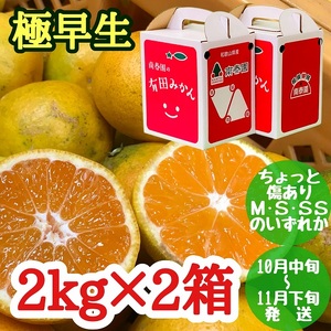 ちょっと 傷あり 極早生 みかん 有田 M〜SSサイズ 約2kg × 2箱 手さげ箱 南泰園_ZF6026n