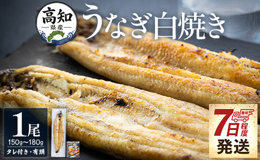 高知県産うなぎ 白焼き 150～180ｇ×1尾 白焼き yw-0113