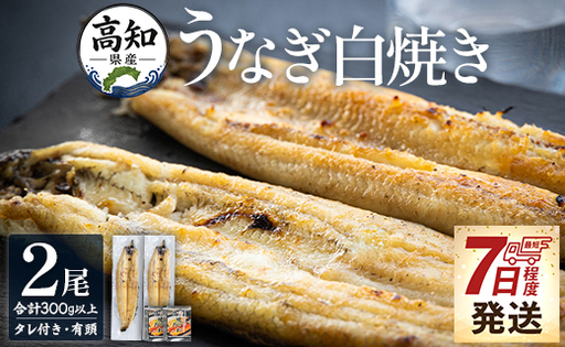 高知県産うなぎ 白焼き 150〜180g 2尾 白焼き yw-0114