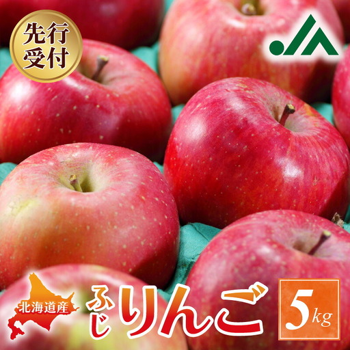 【先行受付：2026年11月下旬以降発送分】りんご (ふじ)  5kg_Y010-0659