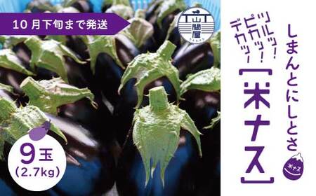 【 期間限定 】デカ！ピカ！ツル！しまんとにしとさ 米ナス 9玉（約2.7kg）国産 高知県 四万十市 しまんと 西土佐 旬 野菜 やさい 夏野菜 なす なすび 茄子 ナス 米なす 新鮮 産地直送 【2026年5月下旬～10月下旬まで発送】39210-002-0013