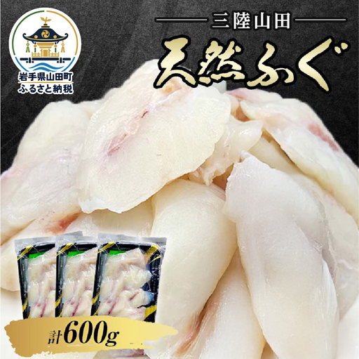 三陸山田 天然ふぐ 600g 小分け 200g 3パック 長根水産 お鍋6人分 天然 お鍋 鍋 ふぐ フグ 河豚 唐揚げ 急速冷凍 安心安全 弾力 三陸天然ふぐ 三陸山田 岩手県 山田町 YD-572