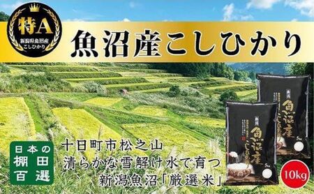 [令和8年産 先行予約]日本棚田百選のお米 天空の里・魚沼産こしひかり 15kg(5kg×3) 白米 安心 安全 こだわり