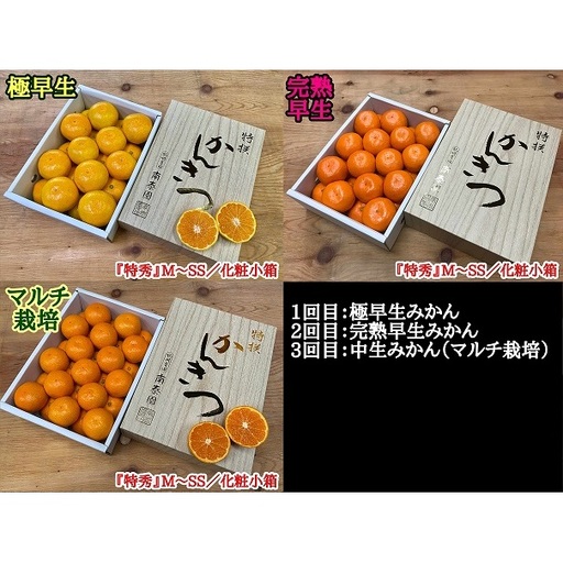 【定期便 全3回】 有田みかん 食べくらべ 3種 化粧小箱 各 約2kg 南泰園 _ZF6315n