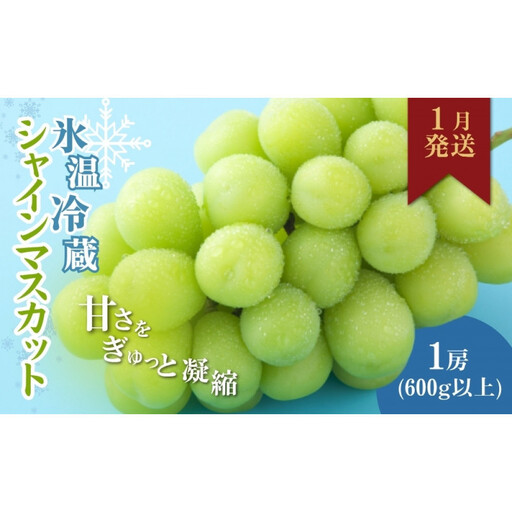 信州やなぎさわ農園果逢　信州産シャインマスカット（1月発送）　冷蔵1房(600g以上)大粒&大房 | 果物 ぶどう シャインマスカット 産地直送