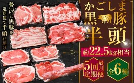 [隔月5回定期便]かごしま黒豚半頭 合計約22.5kg