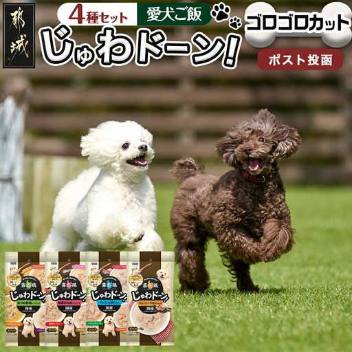 ≪愛犬ご飯≫霧島鶏じゅわドーン!ゴロゴロカット4種セット※ポスト投函〔LC-3304〕_(都城市) ゴロゴロカット 4種 角切り 国産鶏肉 成犬 犬用 野菜 お肉 ポスト投函