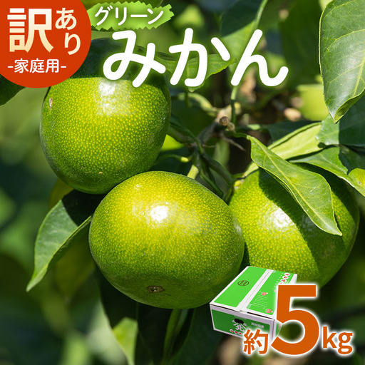[2026年9月より順次配送]訳あり グリーンみかん 約5kg みかん be-0111