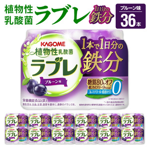 植物性乳酸菌ラブレ 1日分の鉄分36本 [052S05]