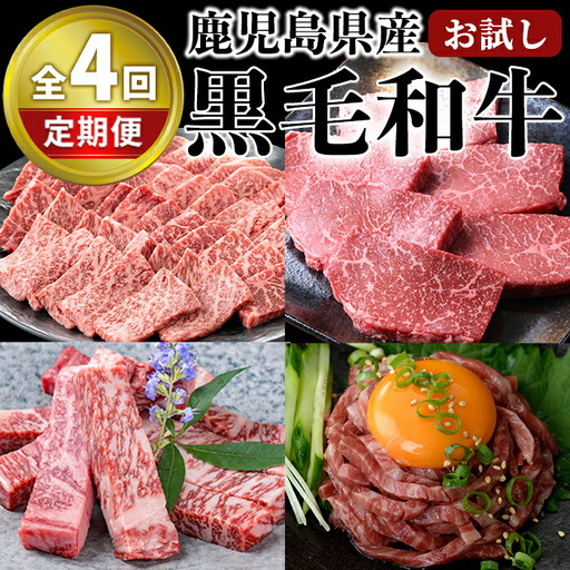 ＜定期便・全4回＞ お試し 黒毛和牛 定期便 国産 鹿児島県産  【LRプラスK】T9-v01