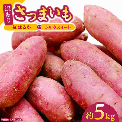 先行予約 紅はるかorシルクスイート蜜芋5kg サツマイモさつまいも ZCN013