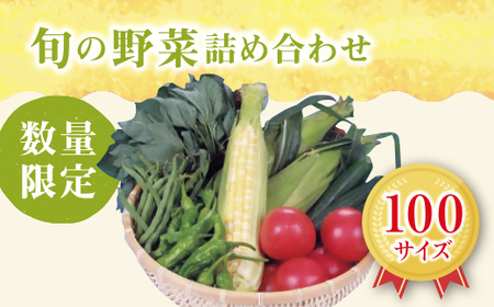 旬の野菜詰合せ おまかせセット[限定20/月][1-7]