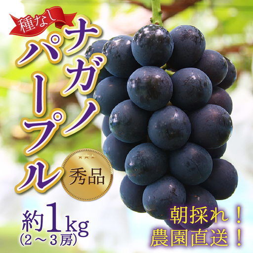 [先行予約][種なし][朝採れ][秀品]上野梨園のナガノパープル 約1kg 農園直送[上野の葡萄] / ぶどう フルーツ 果物 くだもの 贈答 お土産 種なし 旬 皮ごと食べる ポリフェノール 美容 レスベラトロール ぶどう狩り 巨峰 甘い 大粒 新鮮 濃厚※2026年8月下旬より順次発送 [aw077-a023]
