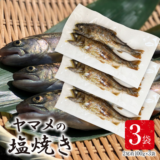 ヤマメ 塩焼き 3袋 山江村ヤマメ生産組合