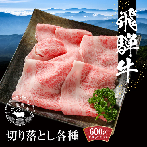 飛騨牛 切落とし 600g（約150g×4パック） 冷凍真空パック | 飛騨牛 個包装 小分け MZ001