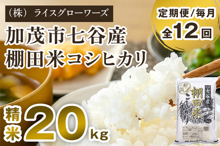 【令和8年産新米先行予約】【定期便12ヶ月毎月お届け】七谷産 棚田米コシヒカリ 精米20kg（5kg×4）《10月上旬～順次出荷》 白米 （株）ライスグローワーズ
