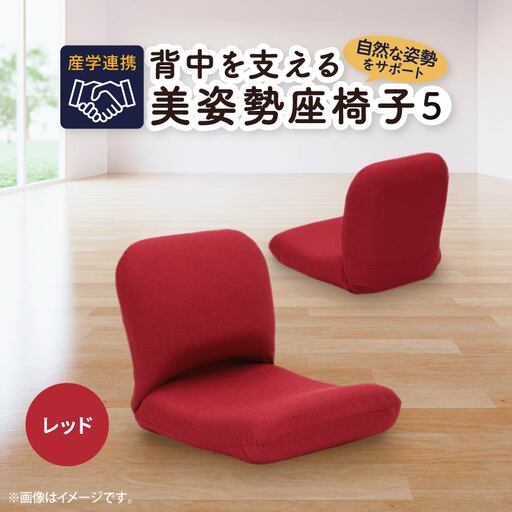 産学連携　背中を支える美姿勢座椅子5　レッド_雑貨・日用品 椅子・チェア・ソファ 家具・インテリア _【1201652】
