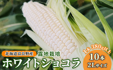 【2026年夏発送】北海道 富良野産 ホワイトショコラ 2Lサイズ 10本 露地栽培 白い とうもろこし (山本農園)