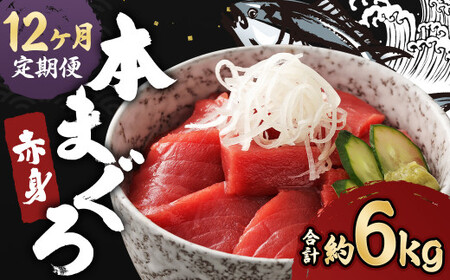 【12ヶ月定期便】長崎県産 本マグロ 赤身 500g 鮪 魚 刺身 【大村湾漁業協同組合】