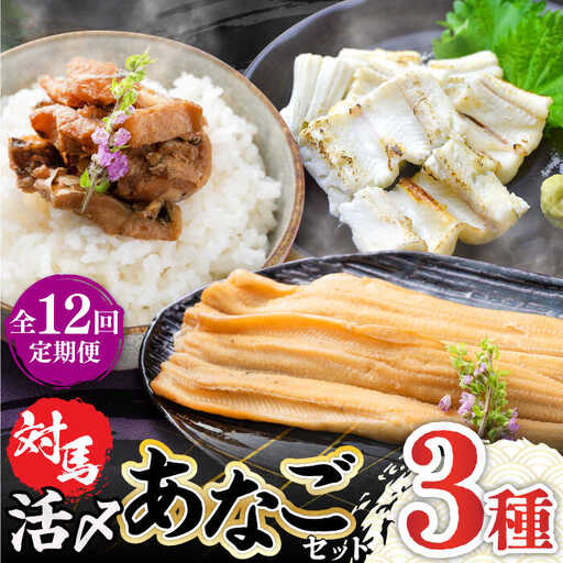 【全12回定期便】対馬 産 活〆 あなご セット [WAC020]  煮あなご 佃煮 アナゴ