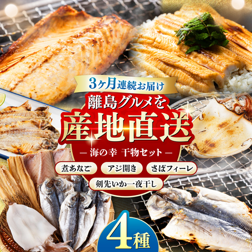 【全3回定期便】対馬 海の幸 干物 セット [WAC027]冷凍 新鮮 魚 イカ 鯵 アジ 剣先いか さば 穴子 ひもの 