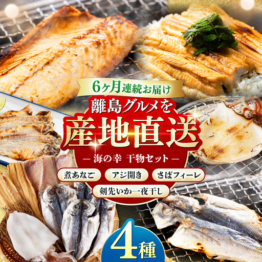 【全6回定期便】対馬 海の幸 干物 セット [WAC028]冷凍 魚 イカ 鯵 アジ 剣先いか さば 穴子