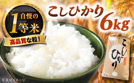 コシヒカリ 6kg【令和7年度産】/ 恵那市 / 梅本勝司 [AUAL001] コシヒカリ