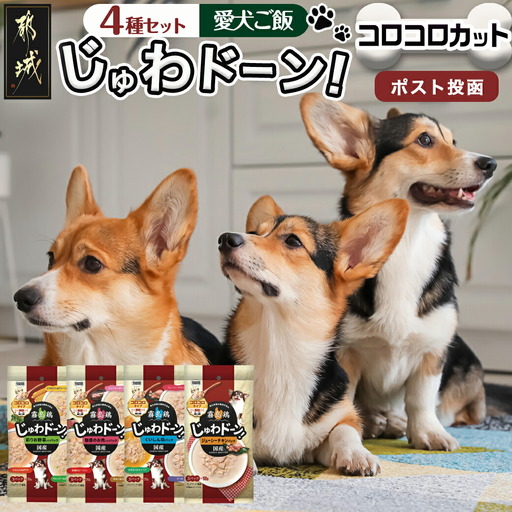 ≪愛犬ご飯≫霧島鶏じゅわドーン!コロコロカット4種セット※ポスト投函〔LC-3305〕_(都城市) コロコロカット 犬用 国産鶏肉 野菜 お肉 バラエティーパック シングルパック ポスト投函