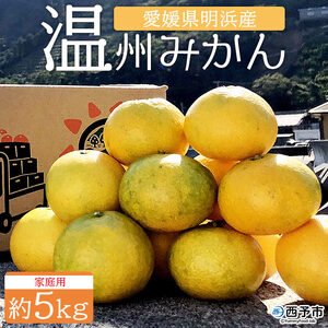 ＜安樹屋 愛媛県明浜産 温州みかん（早生） 約5kg 家庭用＞ 柑橘類 みかん ミカン 果物 フルーツ 安樹屋 愛媛県 西予市 【常温】『2025年11月中旬～11月末迄に順次出荷予定』AYK0003