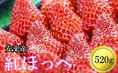 安来産 いちご 紅ほっぺ 2パック