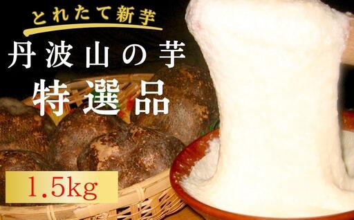 【芋家なか吉】プレミアム丹波山の芋特選品1.５kg［ 京都 芋 いも イモ 新鮮 野菜 人気 おすすめ お取り寄せ 通販 ふるさと納税 ］